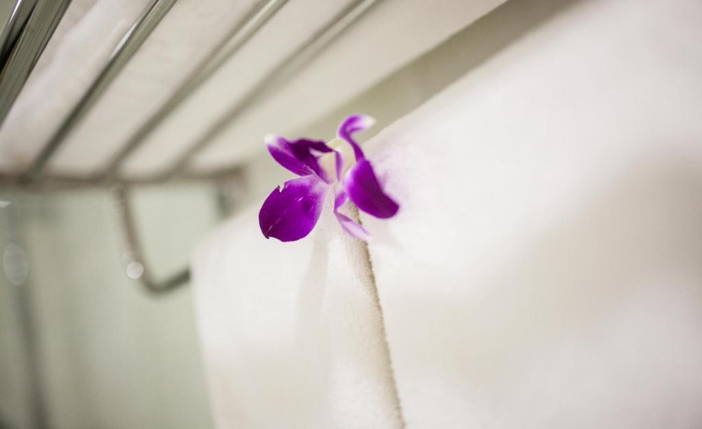 White Snow Hotel Da Nang Bilik gambar